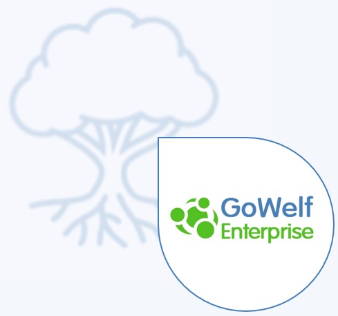 enterprise welfare solutions welsol gowelf